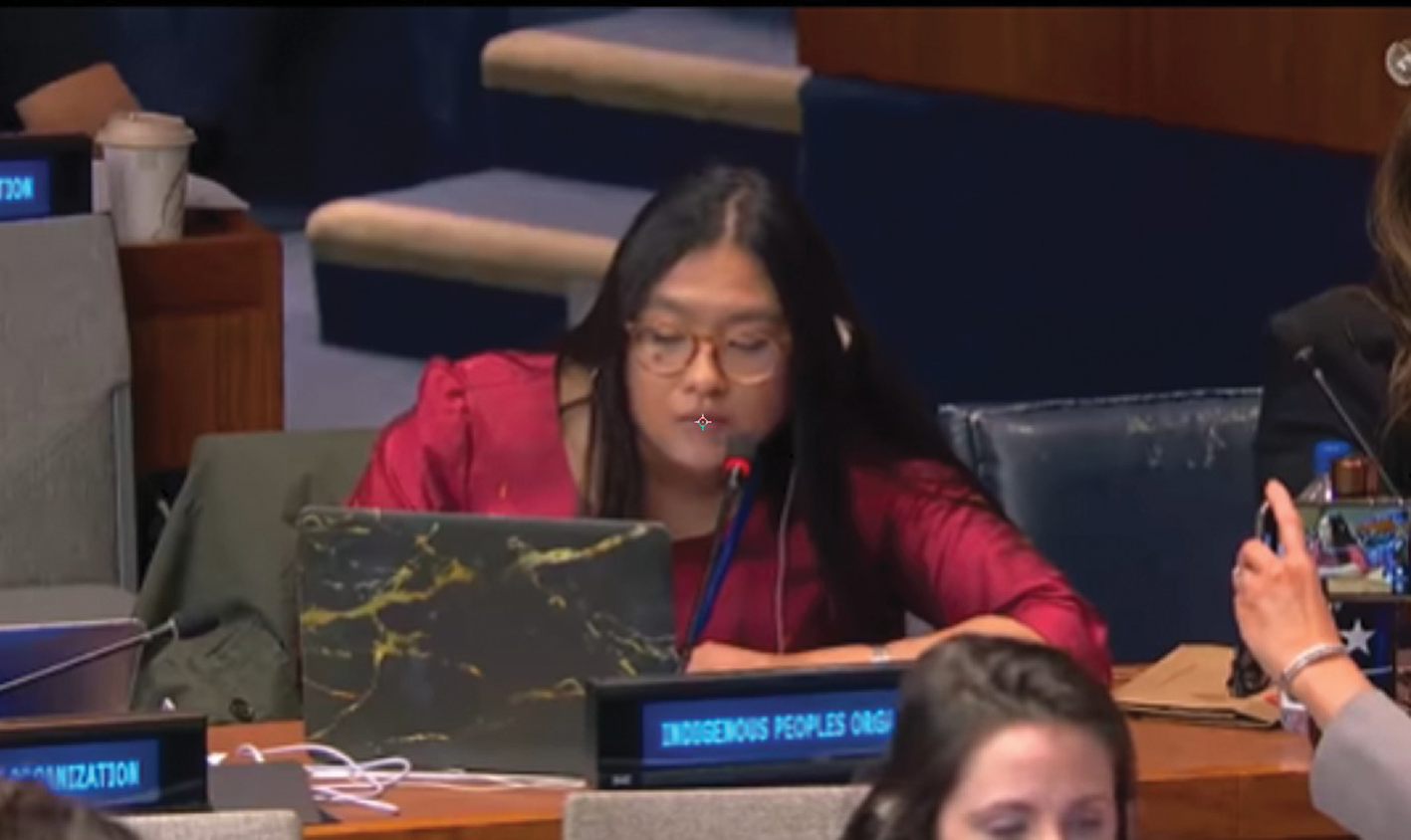 Connie Hang, Khmer Krom Federation Youth Committee member and activist delivers speech during the 23rd session of United Nations Permanent Forum on Indigenous Issue (UN- PFII) in New York on April 15th, 2024. 